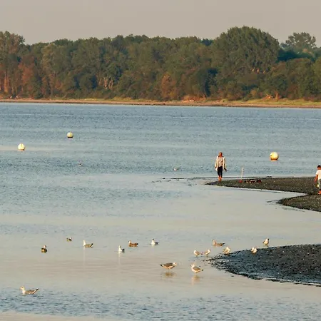 Hébergement de vacances Freibeuterweg 23 - Dorf 5